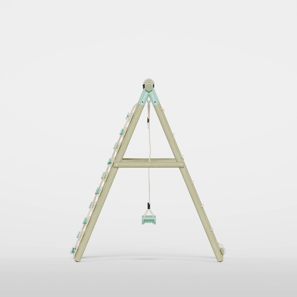 Double Swing with Climbing Wall